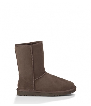 Men's Classic Short Choсolate 5800